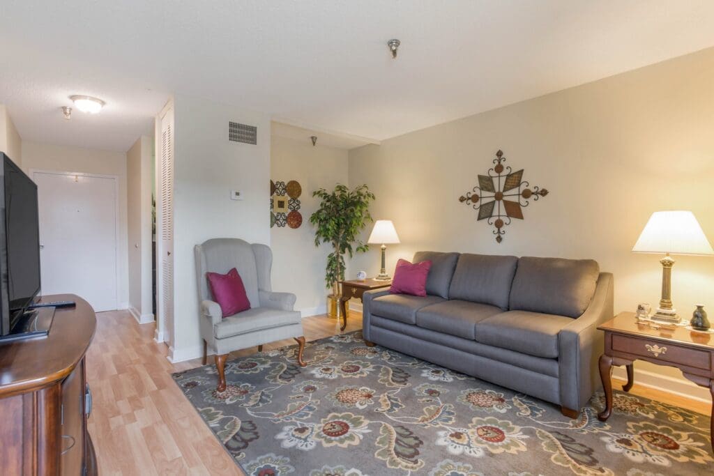 Living room with sofa, chair, rug, television, lamps, and several decorative accessories